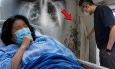 3 người cùng đổ bệnh khi ở nhà mới, 'thủ phạm' đáng sợ sau lớp dán tường
