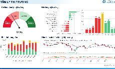 Xu hướng chứng khoán 9/10: Bất động sản, ngân hàng kéo VN-Index đi xuống