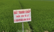 Đất tranh chấp: Những điểm người dân dễ nhầm lẫn