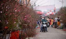 Chuyên gia nói về diễn biến thời tiết trong tháng 2, Tết Nguyên đán có thể sẽ ấm