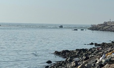 Tàu cá bị sóng đánh chìm, một ngư dân Lâm Đồng mất tích