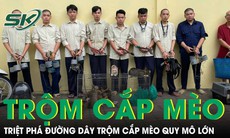 Nhóm thanh niên lập đường dây trộm cắp mèo quy mô lớn tại TPHCM