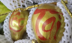 Loại quả dát vàng chỉ bán ngày Tết vì quan niệm mang 'lộc', 'tài', giá đắt đỏ vẫn 'cháy' hàng