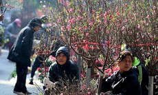 Miền Bắc có thể mưa phùn cả Tết Nguyên đán 2026