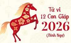 Dự đoán tử vi 12 con giáp năm 2026 - Tử vi năm Bính Ngọ 2026 chi tiết