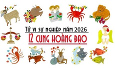Dự đoán tử vi 12 cung hoàng đạo năm 2026 - chi tiết 12 chòm sao năm Bính Ngọ