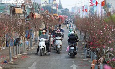 Miền Bắc đón không khí lạnh vào đúng đêm giao thừa