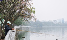 Miền Bắc tăng nhiệt hửng nắng, sương mù chỉ còn vào sáng sớm