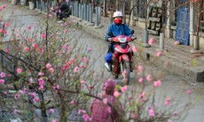 Các tỉnh thành phải chủ động ứng phó với thời tiết xấu dịp nghỉ Tết Nguyên đán 2026