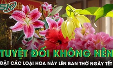 Các loại hoa nên kiêng kỵ, tuyệt đối không đặt lên ban thờ vào Tết Nguyên đán tránh rước xui xẻo, hao tài lộc