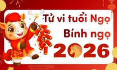 Tử vi tuổi Ngọ năm 2026: Nhiều biến động, đối mặt thử thách