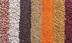 3 loại hạt giàu magie giúp người cao tuổi ngủ ngon