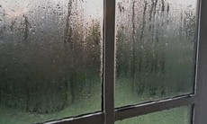 Cao điểm nồm ẩm ở miền Bắc, chọn mua máy hút ẩm thế nào?