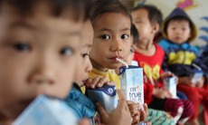 Sữa học đường: Chỉ sử dụng sữa tươi, ưu tiên trẻ em vùng khó khăn