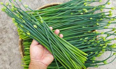 4 cách dùng rau hẹ chữa bệnh