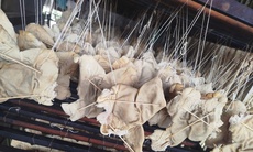 Kiểm tra đột xuất công ty Trường Huy, phát hiện hơn 55 tấn lòng lợn, chân gà không rõ nguồn gốc trong kho lạnh