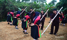 Gieo hạt mùa xuân giữa lòng Hà Nội