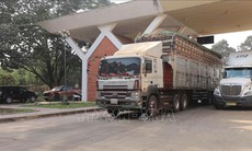 Bộ Công Thương ra công văn hướng dẫn việc kiểm tra an toàn thực phẩm nhập khẩu