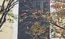 Miền Bắc nắng mạnh, nhiệt tăng cao trước khi đón không khí lạnh mạnh