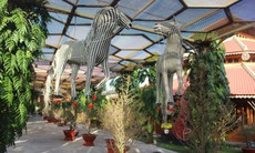 Cận cảnh dàn linh vật ngựa đang bay ở Khánh Hòa