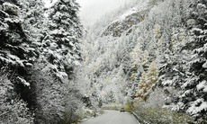 Vì sao Sa Pa ngày càng hiếm tuyết rơi?