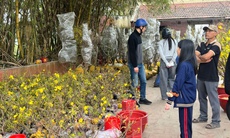 Đào quất xuống phố sớm, chợ Tết vẫn chưa đông