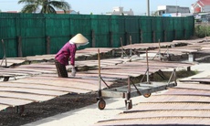 Cận Tết, nghề làm bánh tráng ở vùng biển Lâm Đồng rộn ràng vào vụ