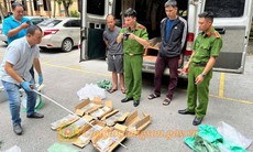 Giá bạc tăng 'chóng mặt': Lộ đường dây buôn lậu quy mô lớn