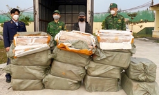 Vận chuyển hơn nửa tấn nầm lợn bốc mùi không rõ nguồn gốc, tài xế bị phạt 35 triệu đồng