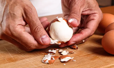 Người axit uric cao có nên ăn trứng?