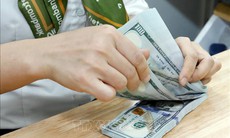 Tỷ giá hôm nay 10/3: Giá USD tăng nhẹ, NDT đi ngang