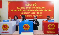 Những điều cử tri cần lưu ý khi tham gia bỏ phiếu