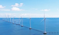 BSC khuyến nghị nắm giữ cổ phiếu REE