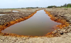 Xâm nhập mặn Nam Bộ ăn sâu đến 50km trong đất liền, khuyến cáo người dân tích trữ nước ngọt