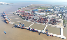 Cổ phiếu GMD được KBSV khuyến nghị mua