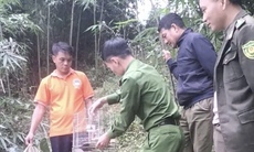 Nuôi chim cu rốc đầu xám quý hiếm, người dân đến Công an xã giao nộp