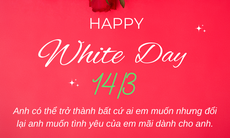 Lời chúc ngày Valentine 14/3 - Valentine trắng tặng người yêu ngọt ngào