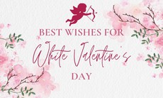 Những mẫu thiệp Valentine 14/3 - Valentine trắng đẹp nhất 2026