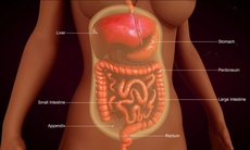Ung thư phúc mạc phức tạp gia tăng, các chuyên gia hội tụ ở Singapore chia sẻ kinh nghiệm chẩn đoán, điều trị