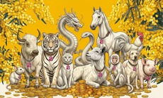 Tử vi tuần mới 12 con giáp từ ngày 16 - 22/3: Dần gặp trở ngại, Hợi đạt thành công