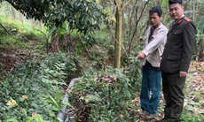 Bị phản ánh xả thải ra ruộng của dân, chủ trang trại lợn bị phạt 107 triệu đồng