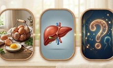 Người bị gan nhiễm mỡ có nên ăn trứng không? Thực tế nhiều người đang hiểu lầm