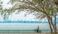 Miền Bắc duy trì thời tiết mát mẻ dễ chịu do không khí lạnh nhẹ tác động