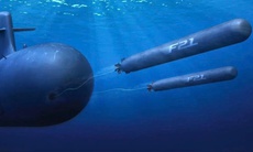 Mỹ tung 'sát thủ đáy biển' dùng ngư lôi xé đôi tàu chiến Iran