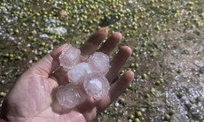 2 trạm y tế và 7 điểm trường bị hư hỏng do dông lốc, mưa đá ở Tuyên Quang