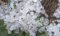 Cách nhận biết sắp có mưa đá và giảm thiểu thiệt hại do thiên tai