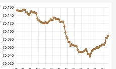 Tỷ giá trung tâm USD 23/3 áp sát 26.000 đồng