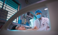 Sốt xuất huyết Dengue và những dự định dở dang bên giường bệnh