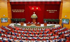 Trung ương cho ý kiến về việc thành lập TP Đồng Nai trực thuộc Trung ương