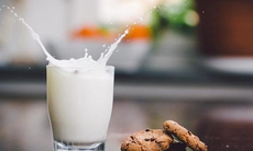 Học khuya có nên ăn đêm không và ăn thế nào để không hại sức khỏe?